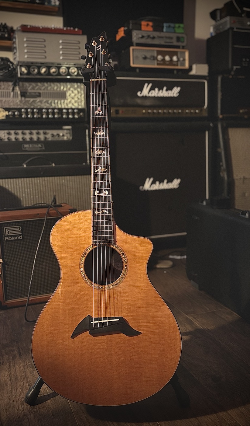 Acoustic guitar